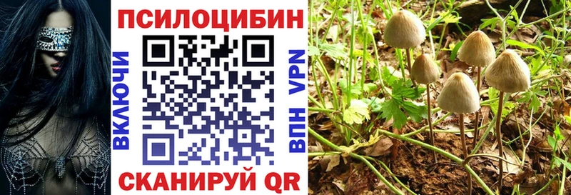 Псилоцибиновые грибы мицелий  сколько стоит  Пошехонье 